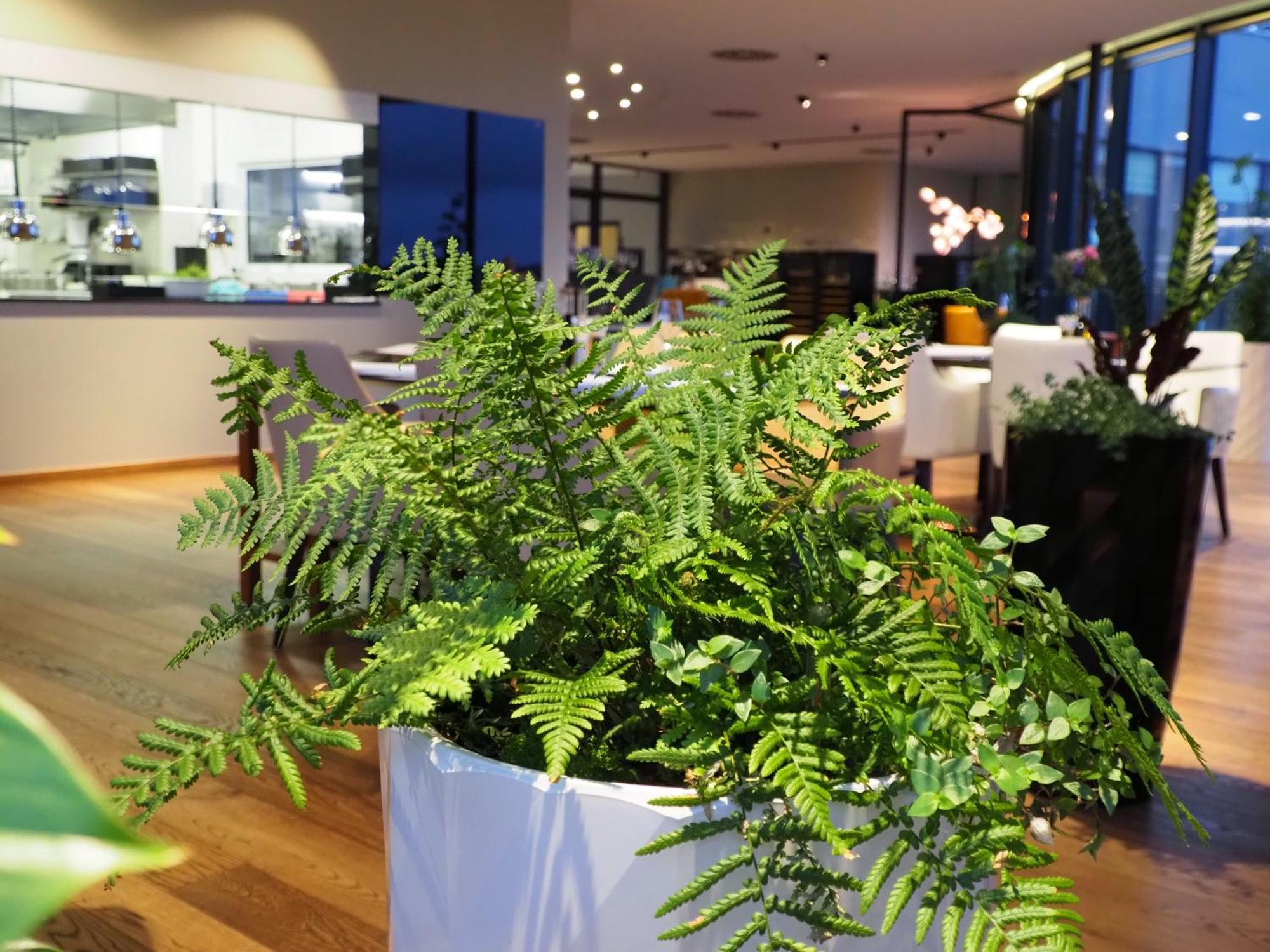 Mg Restaurace/Luxury Apartments Mlada Boleslav Luaran gambar