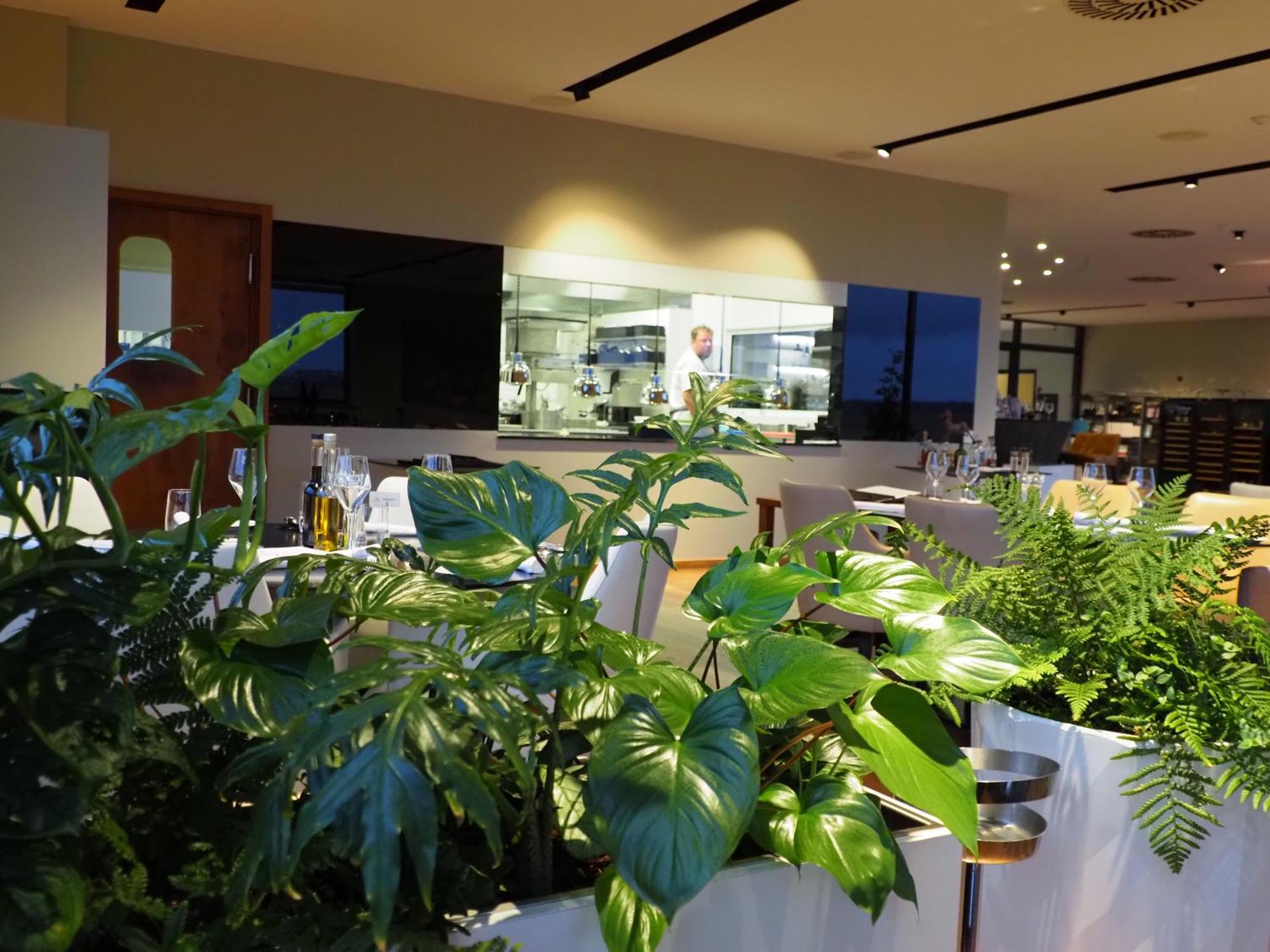 Mg Restaurace/Luxury Apartments Mlada Boleslav Luaran gambar